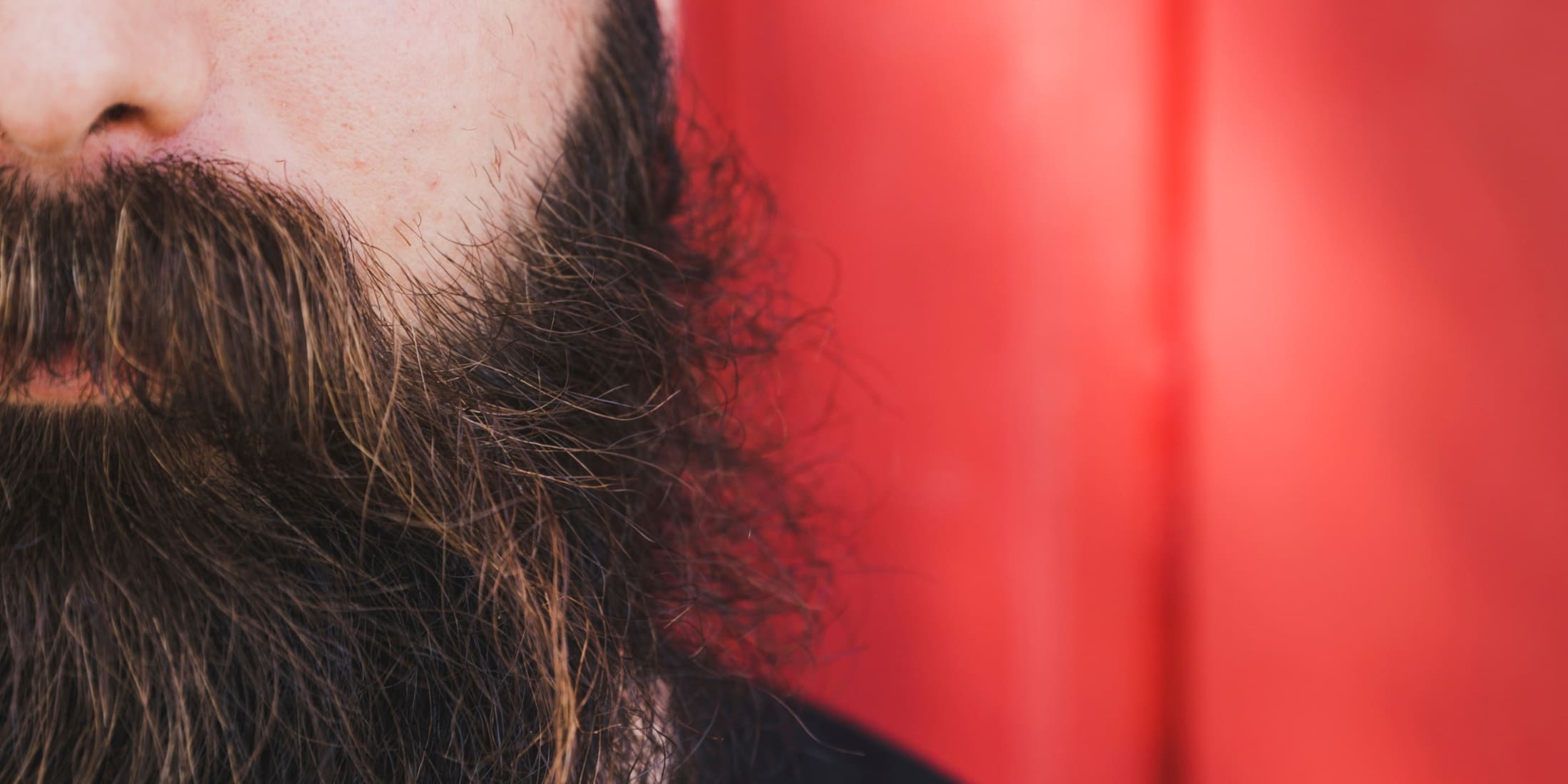 Close-up of a man's beard showcasing thick, coarse hair texture against a vibrant red background. The image highlights the natural texture and density of beard hair, emphasizing the unique grooming needs compared to head hair. Perfect for articles on beard care, grooming tips, and understanding beard hair vs. head hair differences.