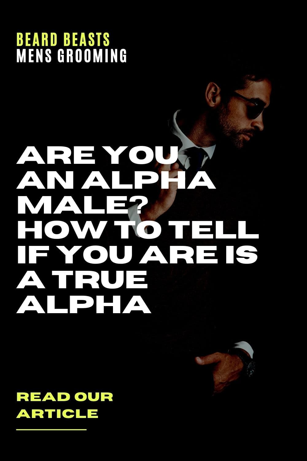 are you an alpha male pinterest pin