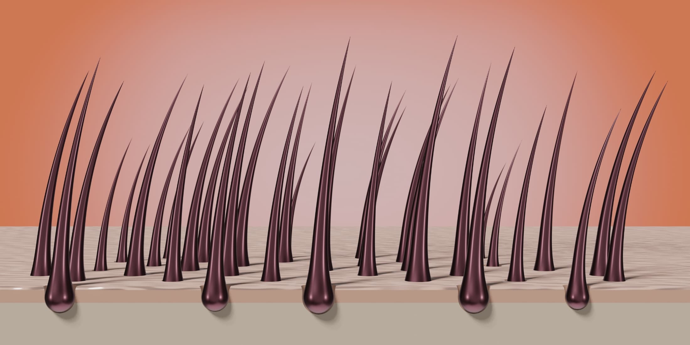 Illustration of healthy hair follicles, showing smooth and well-aligned hair strands emerging from the skin. The image highlights the importance of proper care and maintenance for both beard hair and head hair to achieve healthy, vibrant hair growth.