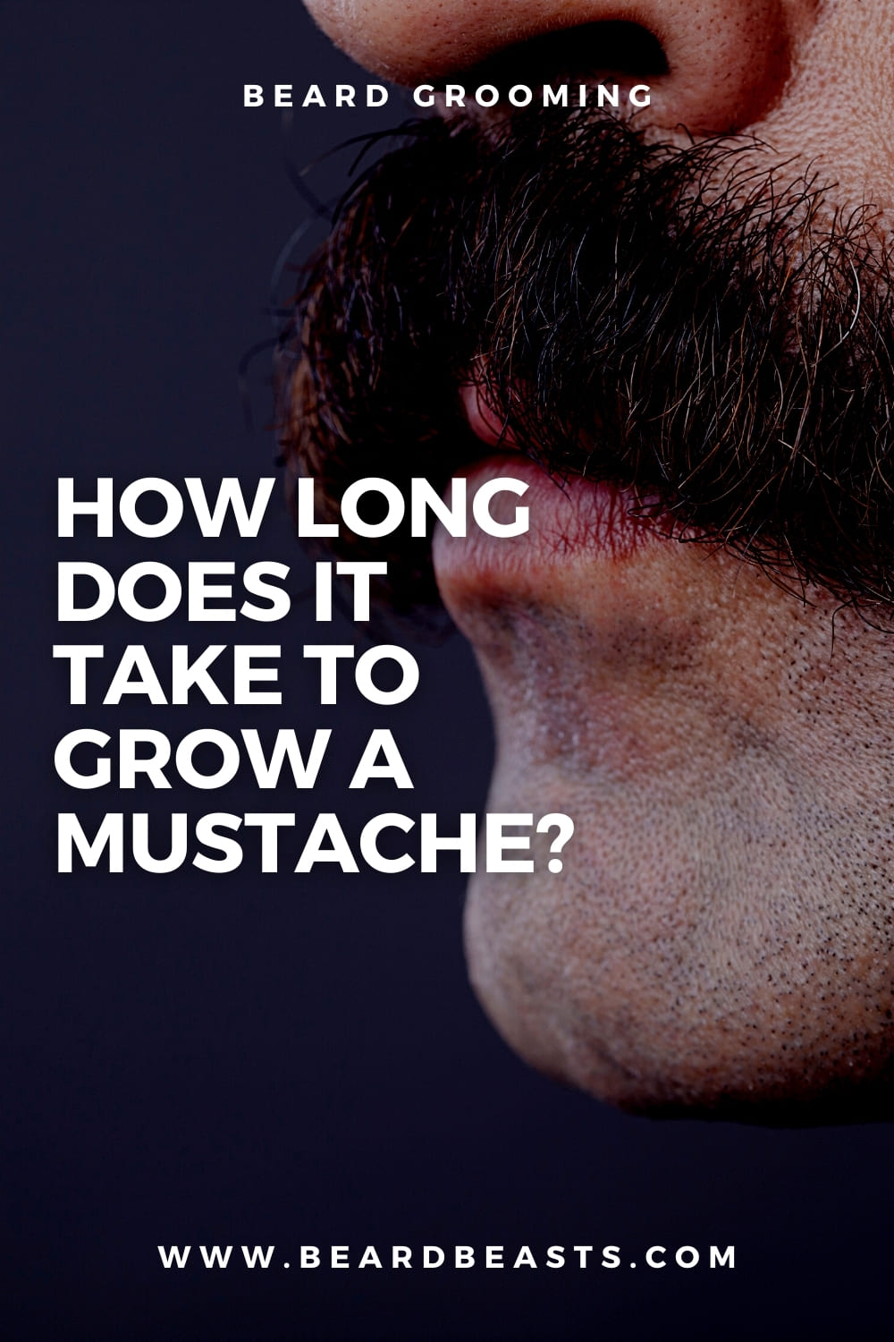 How Long Does It Take to Grow a Mustache? Pinterest Pin