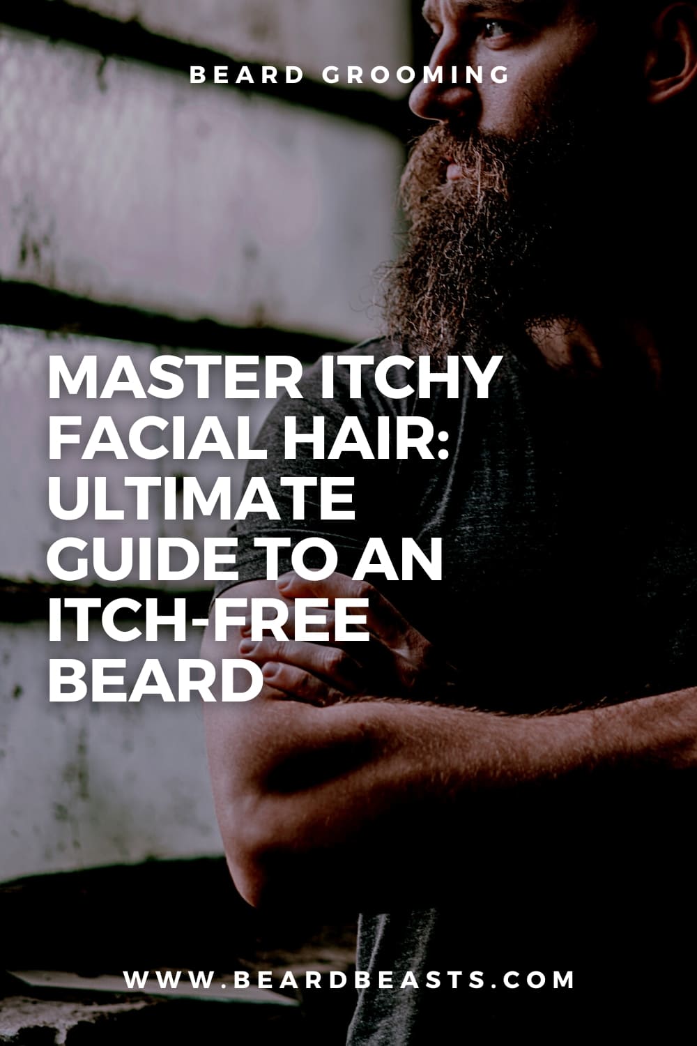 Master Itchy Facial Hair: Ultimate Guide to an Itch-Free Beard Pinterest Pin