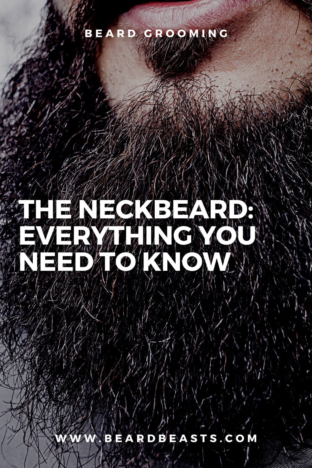 The Neckbeard: Everything You Need To Know Pinterest Pin