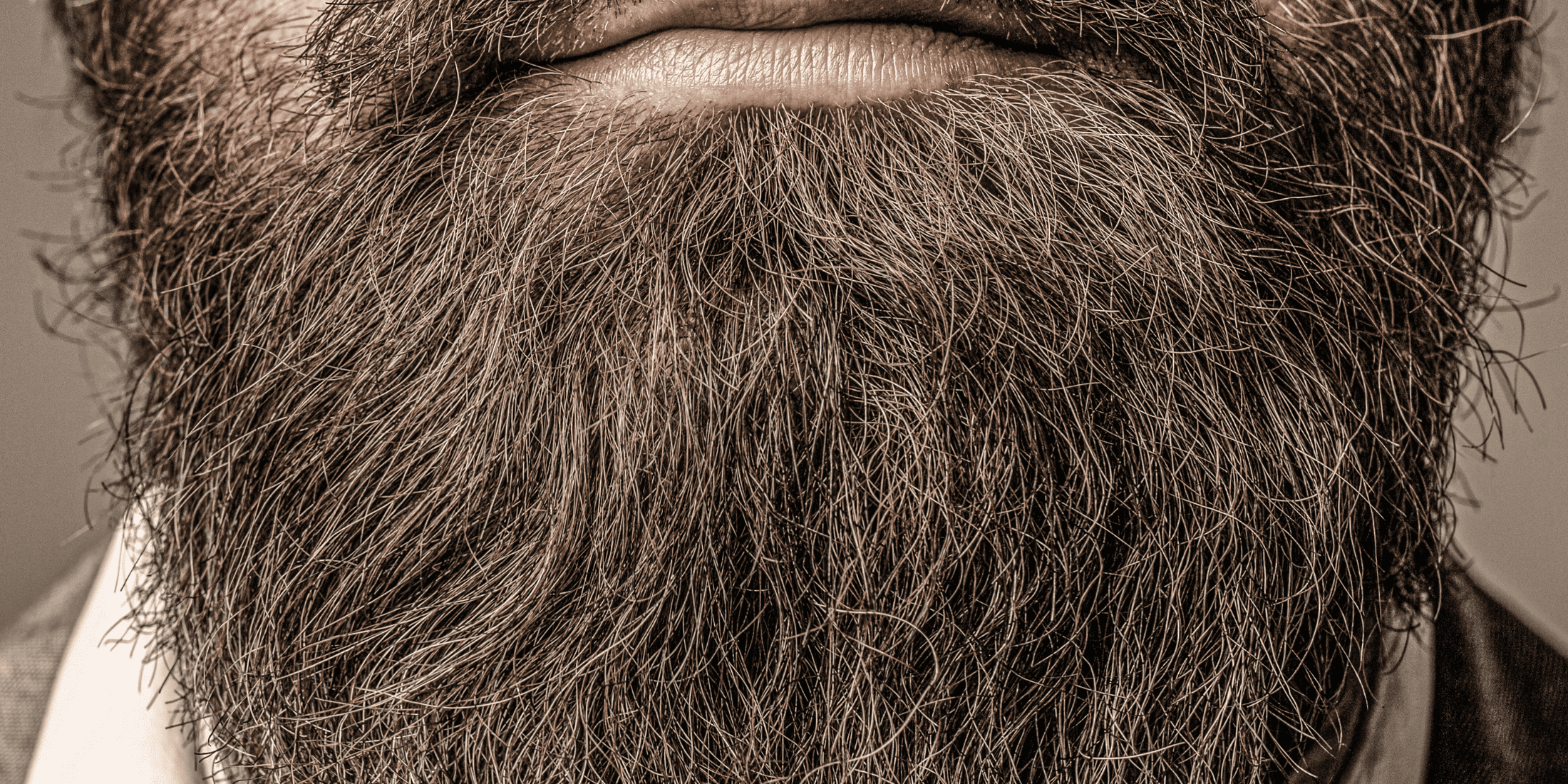 Close-up of a thick, well-groomed beard, challenging the common myth that beards are unhygienic. Highlighting how proper beard care and regular grooming can keep facial hair clean and healthy. Debunking myths about beard growth and hygiene.