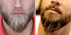 Comparison of two ducktail beard styles, highlighting the distinct tapered shape and meticulous grooming of each beard, demonstrating the versatility and elegance of the ducktail beard.