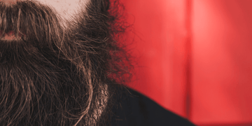 A close-up image of a man's beard highlighting beard split ends and uneven hair. The focus is on the lower part of the beard, showing frayed and tangled hair against a vibrant red background. 