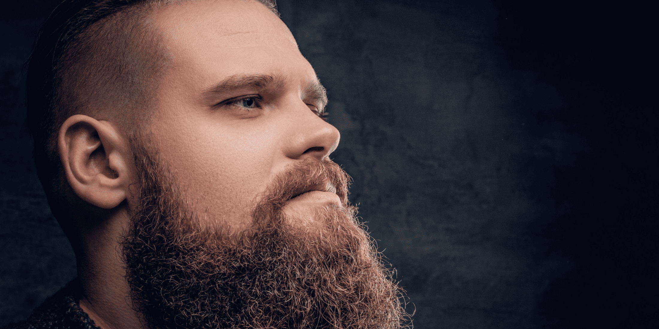 A side profile image of a man with a full, thick beard and neatly styled hair. He gazes confidently into the distance, showcasing his well-maintained facial hair. The texture and density of his beard are highlighted, illustrating the importance of proper grooming to avoid facial hair split ends. The dark background accentuates his features, drawing attention to the care and detail in his beard maintenance.